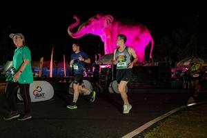 BIB: 
                            <button type="button" onclick="openModal(26542851)" class="btn btn-primary btn-sm float-right btn-popup" data-toggle="modal" data-target=".modal-high-quality">
                        <i class="fas fa-shopping-cart"></i> Add to Cart
                    </button>
                                            <button type="button" onclick="isThisMe(26542851, true)" class="btn btn-success btn-sm float-right btn-popup btn-isme hidden" data-toggle="tooltip" data-placement="bottom" title="นี่คือรูปของคุณใช่ไหม คลิกที่นี่เพื่อเอาเข้าอัลบั้ม">
                        <i class="fas fa-plus"></i> Add to album
                    </button>
                    <button type="button" onclick="isThisMe(26542851, false)" class="btn btn-warning btn-sm float-right btn-popup btn-isnotme hidden">
                        <i class="fas fa-ban"></i> Remove from album
                    </button>